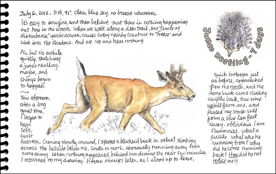 Journal Page