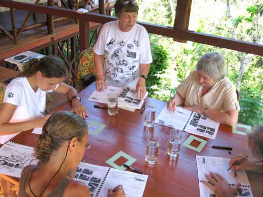 critiques are gentle but highly useful