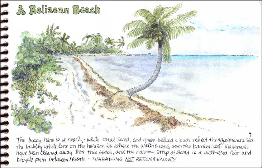 On a Belizean Beach...