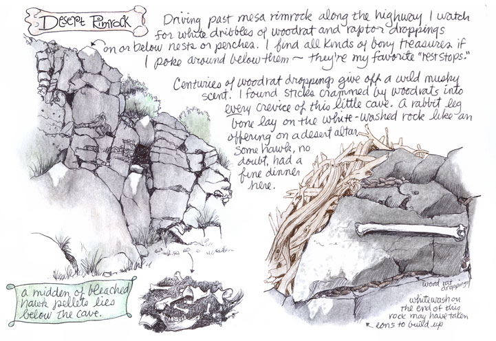 Desert Rimrock...