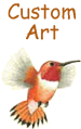 Rufous Hummingbird