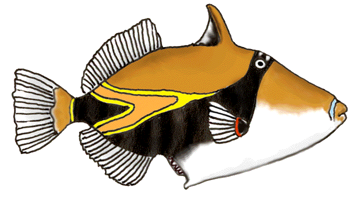 Humuhumunukunukuapua'a