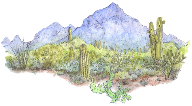 Tucson Mountains from Gilbert Ray Campground...
