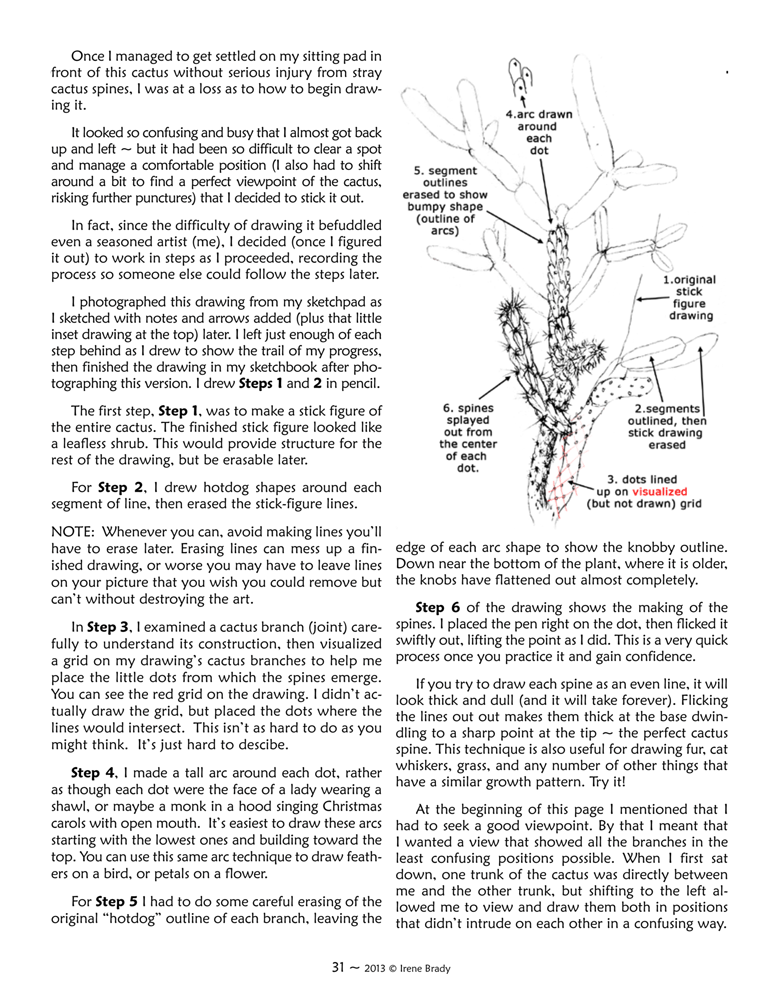 Drawing Instructions