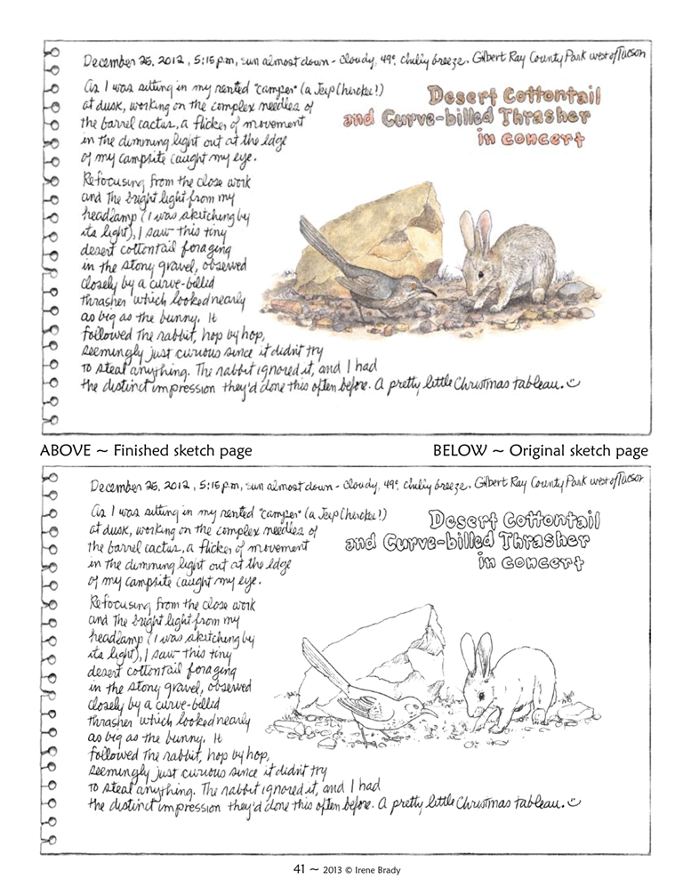 The Coloring Page