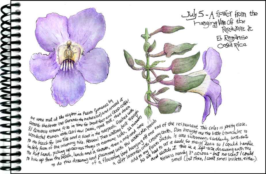 Travel Journal Vine Flower, Costa Rica...